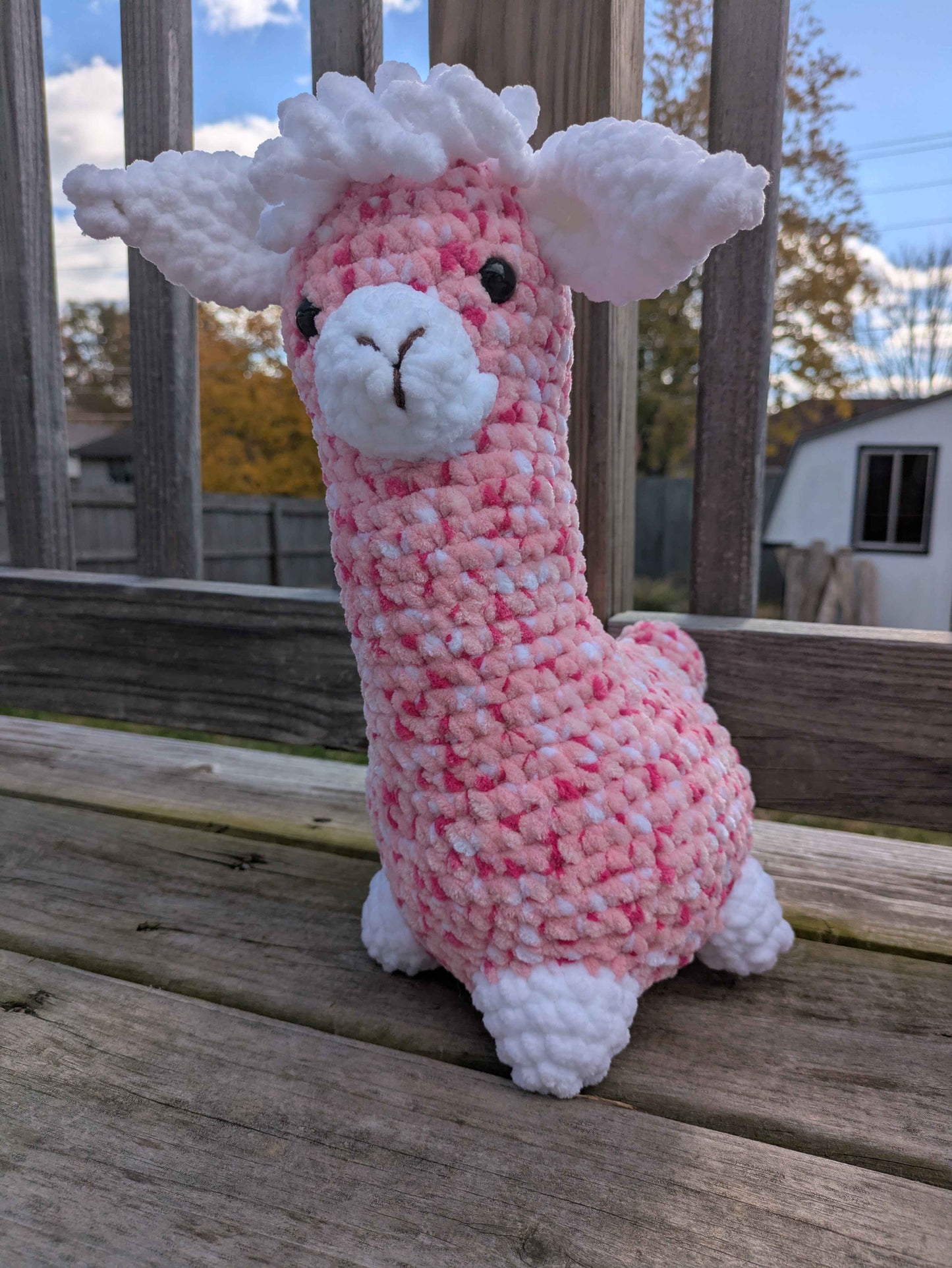 Woolamina Llama